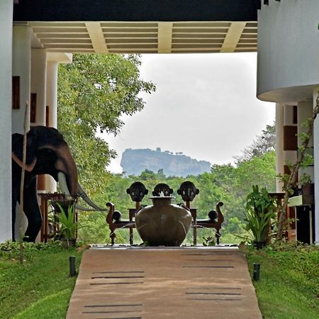 The Elephant Corridor Hotel Sigiriya Dış mekan fotoğraf