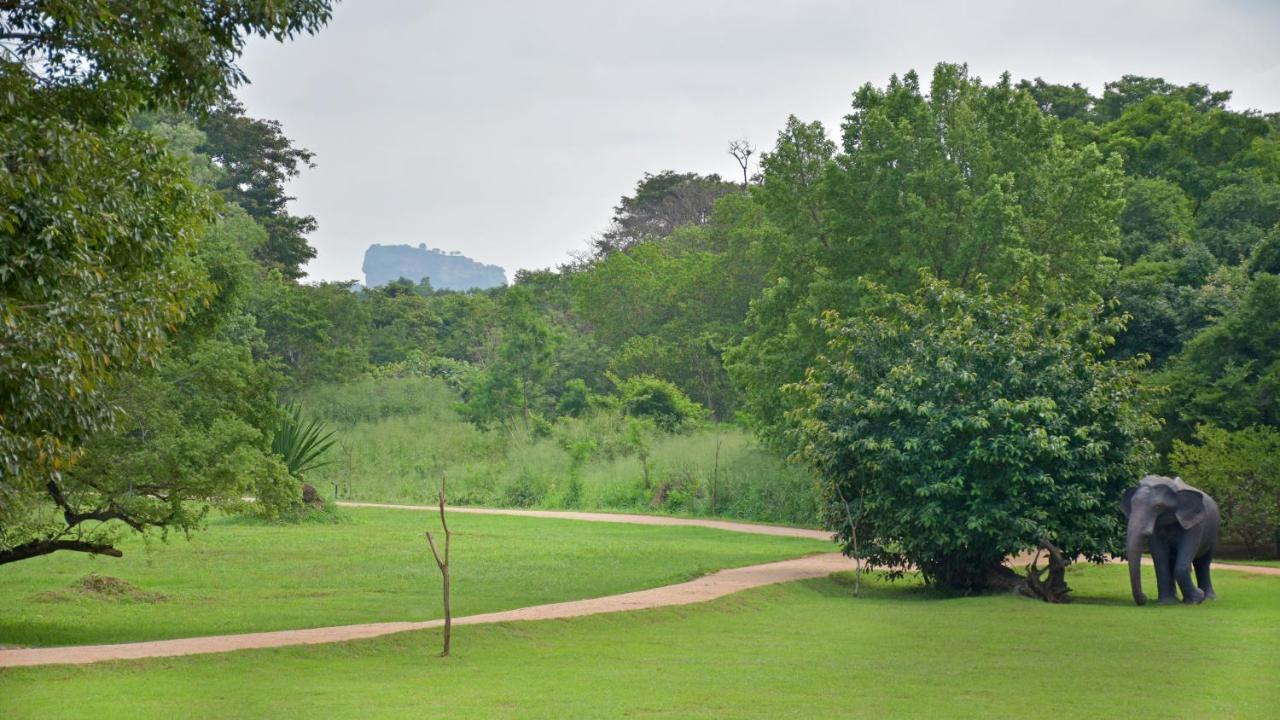 The Elephant Corridor Hotel Sigiriya Dış mekan fotoğraf